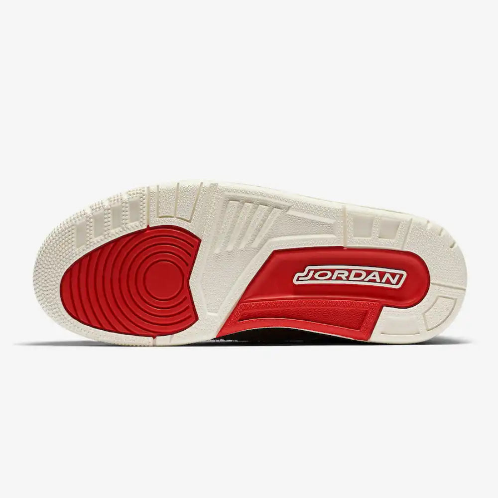 Anna Wintour x Air Jordan 3 Black - DRIP DOS ARTISTAS