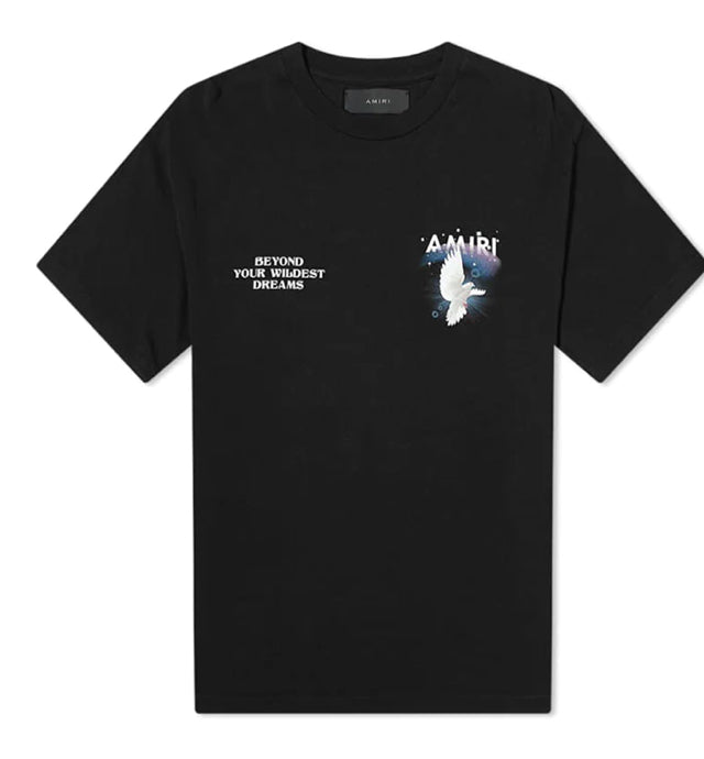 Camiseta Amiri Rainbow Dove